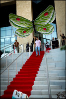 Mint Museum Grand Opening