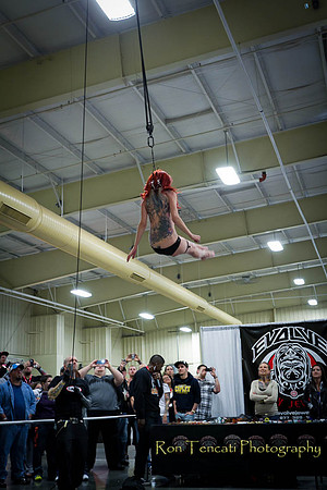 Ink Fest Live 2012