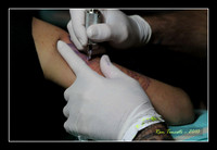Ink Fest Tattoo Expo