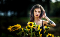 Casey - Sunflowers and Jeep