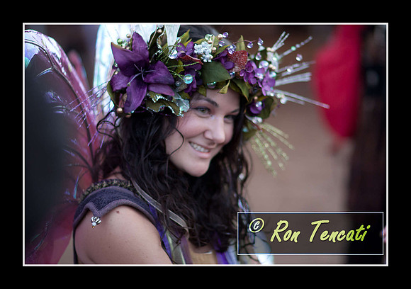 Zinnia The Fairy