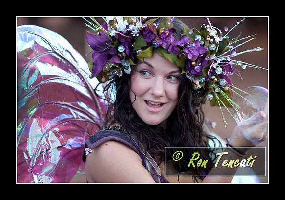 Zinnia The Fairy