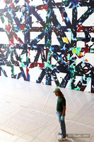 Sam Francis Art Installation